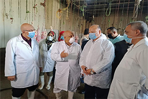 محافظ القاهرة يتفقد مجزر البساتين الالي لإستقبال أضاحي عيد الأضحى المبارك