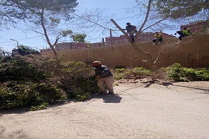 حمله للإهتمام بالمظهر الجمالي بشوارع الحي