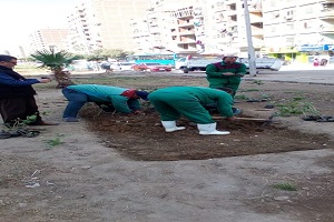 استكمال تشجير شارع مؤسسة الزكاة