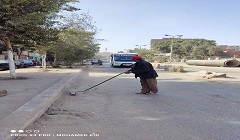 تكثيف حملات النظافة بنطاق الحي