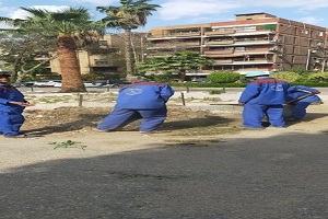 حملات بتكثيف الجهود للإرتقاء بمنظومة النظافة بالحي