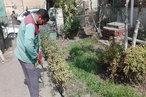 متابعة أعمال الإدارات التنفيذية والخدمية 