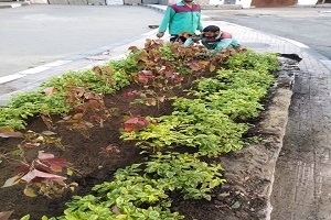 أعمال تجميلية بميدان سيمون بوليفار