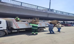 حملة لرفع إشغالات الباعة الجائلين بقصر النيل