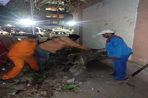 رفع جزع شجرة يعوق حركة المشاه