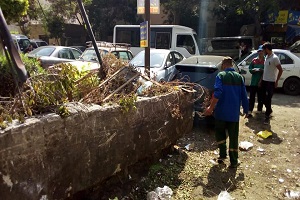 رفع تقليم الاشجار من حي الساحل 