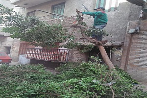 حملات لرفع كفاءة شوارع الحي