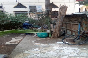 رش المبيدات الحشرية  