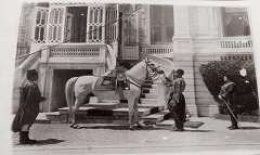 فعاليات ثقافية وفنية ومعارض تراثية بمتاحف الآثار للاحتفال باليوم العالمي للتصوير الفوتوغرافي