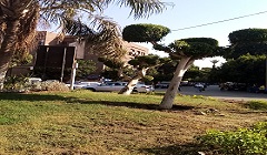 اعمال رفع كفاءة المنطقة الجنوبية