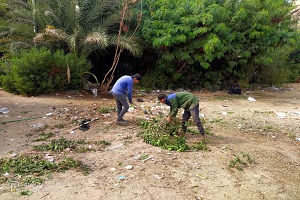 حملة نظافة لرفع القمامه بشوارع الحي