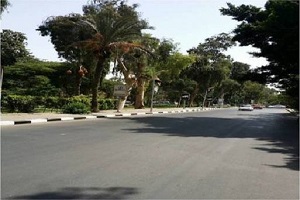 رفع مخلفات القمامة من شارع القنال بالمعادي