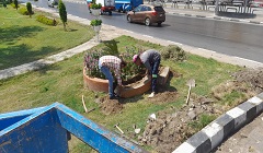 ترميم ورفع كفاءة الجزر الوسطى بطول صلاح سالم