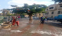 حملة نظافة بحي السيدة زينب 