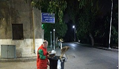 حملة لرفع كفاءة الشوارع والميادين بنطاق الحي